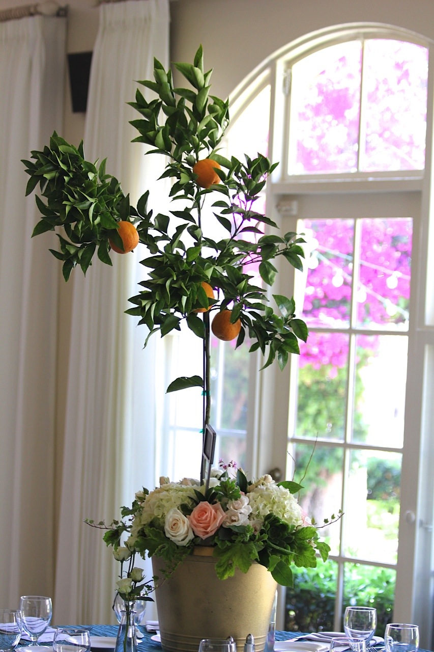 Citrus Trees and Teal at the La Jolla Women’s Club